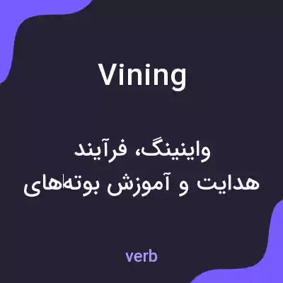 معنی vining به فارسی معنی vining به فارسی