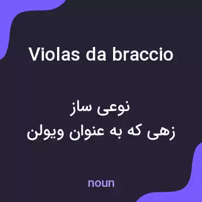 معنی violas da braccio به فارسی معنی violas da braccio به فارسی