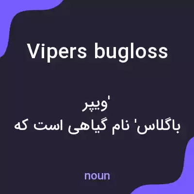 معنی vipers bugloss به فارسی معنی vipers bugloss به فارسی