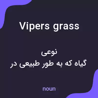 معنی vipers grass به فارسی معنی vipers grass به فارسی