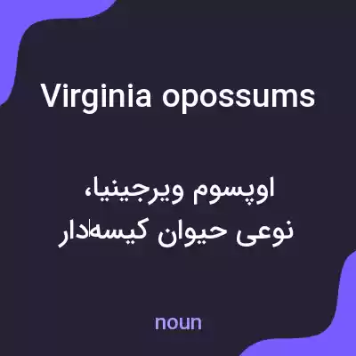 معنی virginia opossums به فارسی معنی virginia opossums به فارسی
