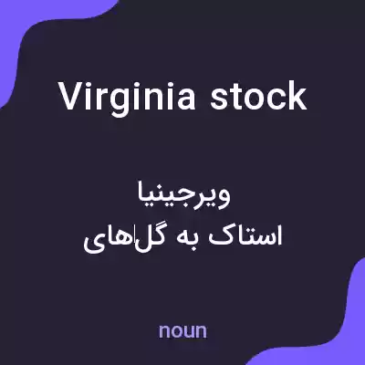 معنی virginia stock به فارسی