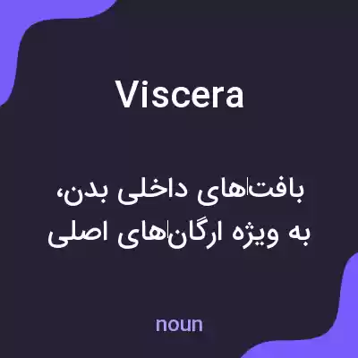 معنی viscera به فارسی معنی viscera به فارسی