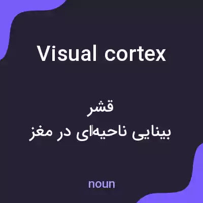 معنی visual cortex به فارسی معنی visual cortex به فارسی