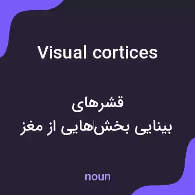 معنی visual cortices به فارسی معنی visual cortices به فارسی