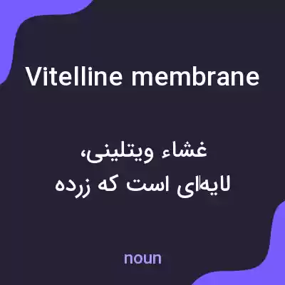 معنی vitelline membrane به فارسی معنی vitelline membrane به فارسی