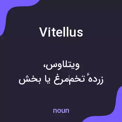 معنی vitellus به فارسی معنی vitellus به فارسی