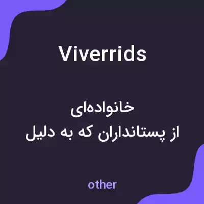معنی viverrids به فارسی معنی viverrids به فارسی
