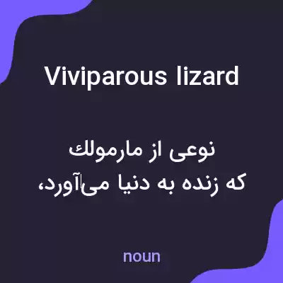 معنی viviparous lizard به فارسی معنی viviparous lizard به فارسی