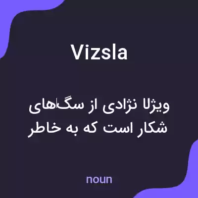معنی vizsla به فارسی معنی vizsla به فارسی