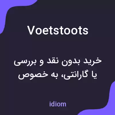 معنی voetstoots به فارسی