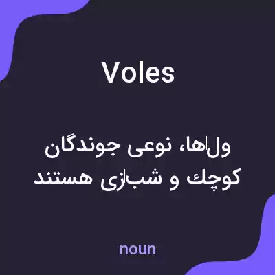 معنی voles به فارسی معنی voles به فارسی