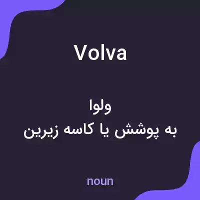 معنی volva به فارسی معنی volva به فارسی