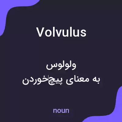 معنی volvulus به فارسی معنی volvulus به فارسی