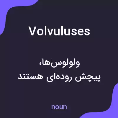 معنی volvuluses به فارسی معنی volvuluses به فارسی