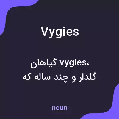 معنی vygies به فارسی معنی vygies به فارسی