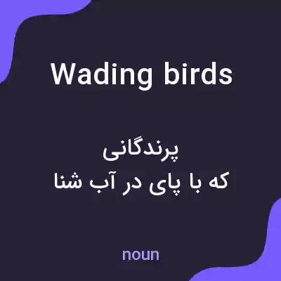 معنی wading birds به فارسی معنی wading birds به فارسی
