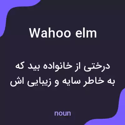 معنی wahoo elm به فارسی معنی wahoo elm به فارسی