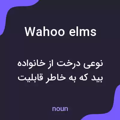 معنی wahoo elms به فارسی معنی wahoo elms به فارسی