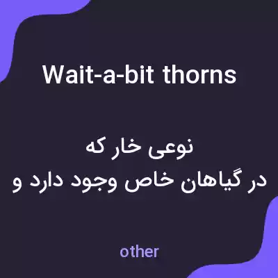 معنی wait-a-bit thorns به فارسی معنی wait-a-bit thorns به فارسی
