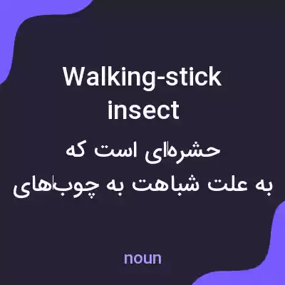 معنی walking-stick insect به فارسی معنی walking-stick insect به فارسی