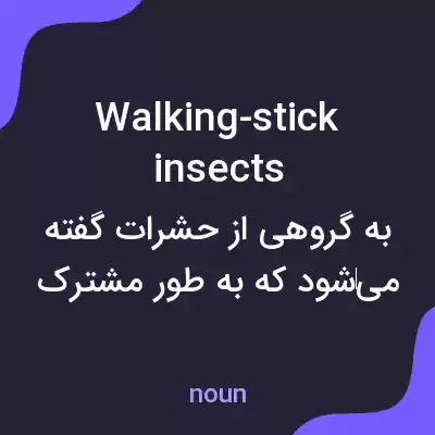 معنی walking-stick insects به فارسی معنی walking-stick insects به فارسی