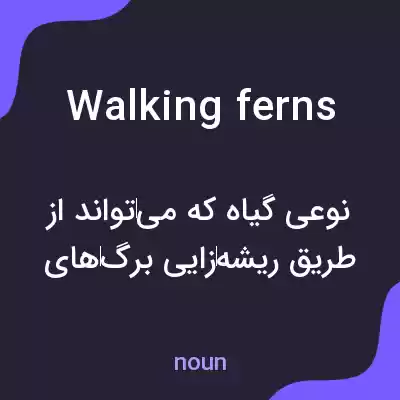 معنی walking ferns به فارسی معنی walking ferns به فارسی