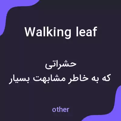 معنی walking leaf به فارسی معنی walking leaf به فارسی