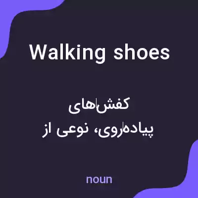 معنی walking shoes به فارسی