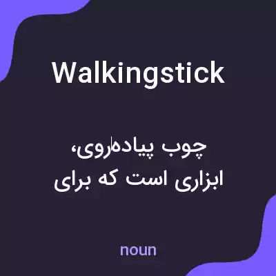 معنی walking stick به فارسی معنی walking stick به فارسی