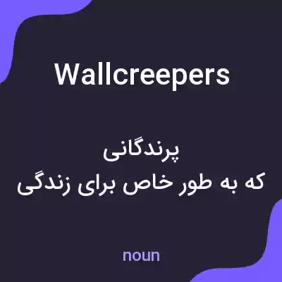 معنی wallcreepers به فارسی معنی wallcreepers به فارسی