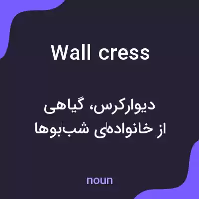 معنی wall cress به فارسی معنی wall cress به فارسی