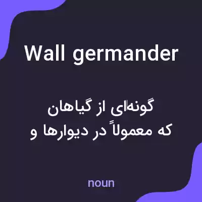 معنی wall germander به فارسی معنی wall germander به فارسی