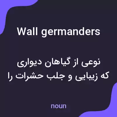معنی wall germanders به فارسی معنی wall germanders به فارسی