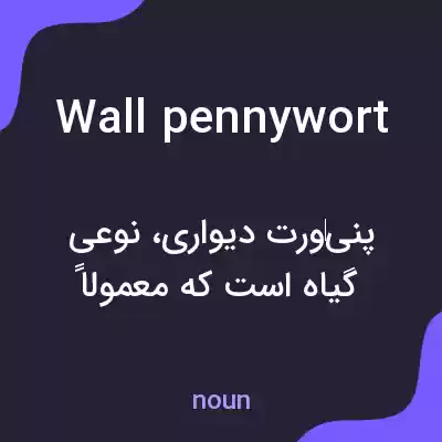 معنی wall pennywort به فارسی معنی wall pennywort به فارسی
