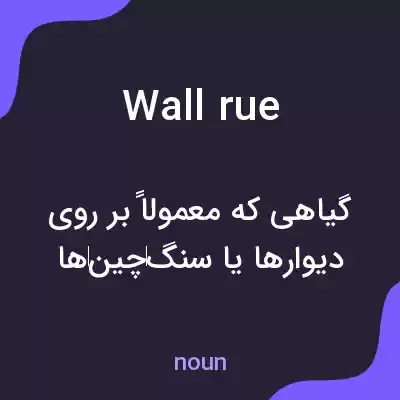 معنی wall rue به فارسی معنی wall rue به فارسی