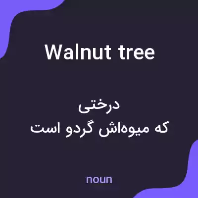 معنی walnut tree به فارسی معنی walnut tree به فارسی