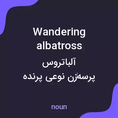 معنی wandering albatross به فارسی معنی wandering albatross به فارسی