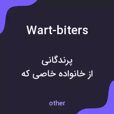 معنی wart-biters به فارسی