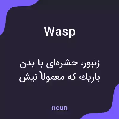 معنی wasp به فارسی معنی wasp به فارسی