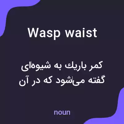 معنی wasp waist به فارسی معنی wasp waist به فارسی