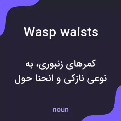معنی wasp waists به فارسی معنی wasp waists به فارسی