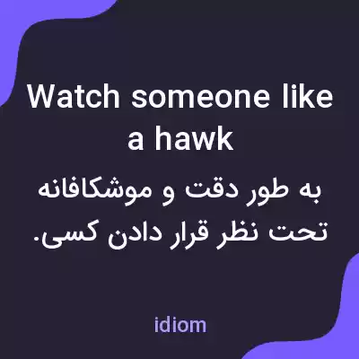 معنی watch someone like a hawk به فارسی معنی watch someone like a hawk به فارسی