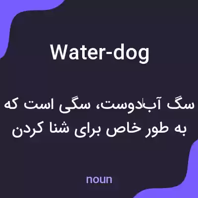 معنی water-dog به فارسی معنی water-dog به فارسی