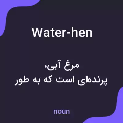 معنی water-hen به فارسی معنی water-hen به فارسی