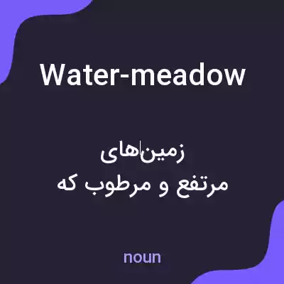 معنی water-meadow به فارسی معنی water-meadow به فارسی