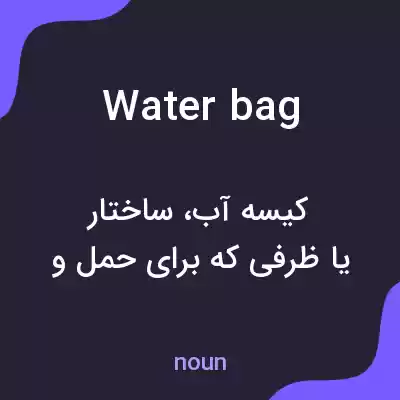 معنی water bag به فارسی معنی water bag به فارسی