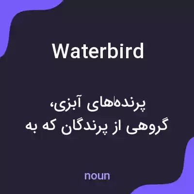 معنی waterbird به فارسی