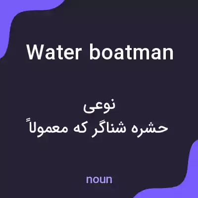 معنی water boatman به فارسی معنی water boatman به فارسی