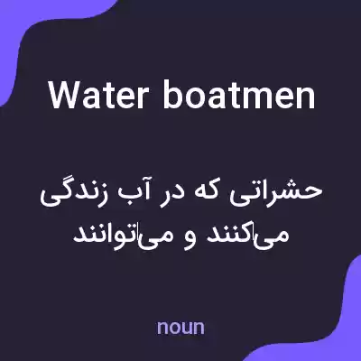 معنی water boatmen به فارسی معنی water boatmen به فارسی